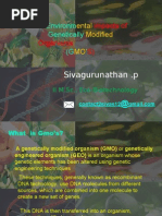 Download Environmental impact of  Release of Gmos by sivagurunathanP SN20145305 doc pdf