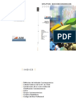 Descripcion GSE Chile 2008.pdf