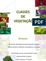 Classes de Vegetacao 4 - Arvores