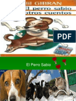 Cuadro Sinoptico Del Perro Savio2