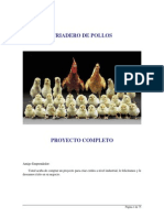 Manual Cria de Pollos de Engorde