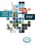 SNEP - Rapport Annuel 2009