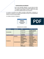 Clasificación de Los Cordados