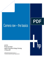 Camera_raw-the_basics.pdf
