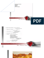 Cardiovascular. Dra. Filerma Finol.