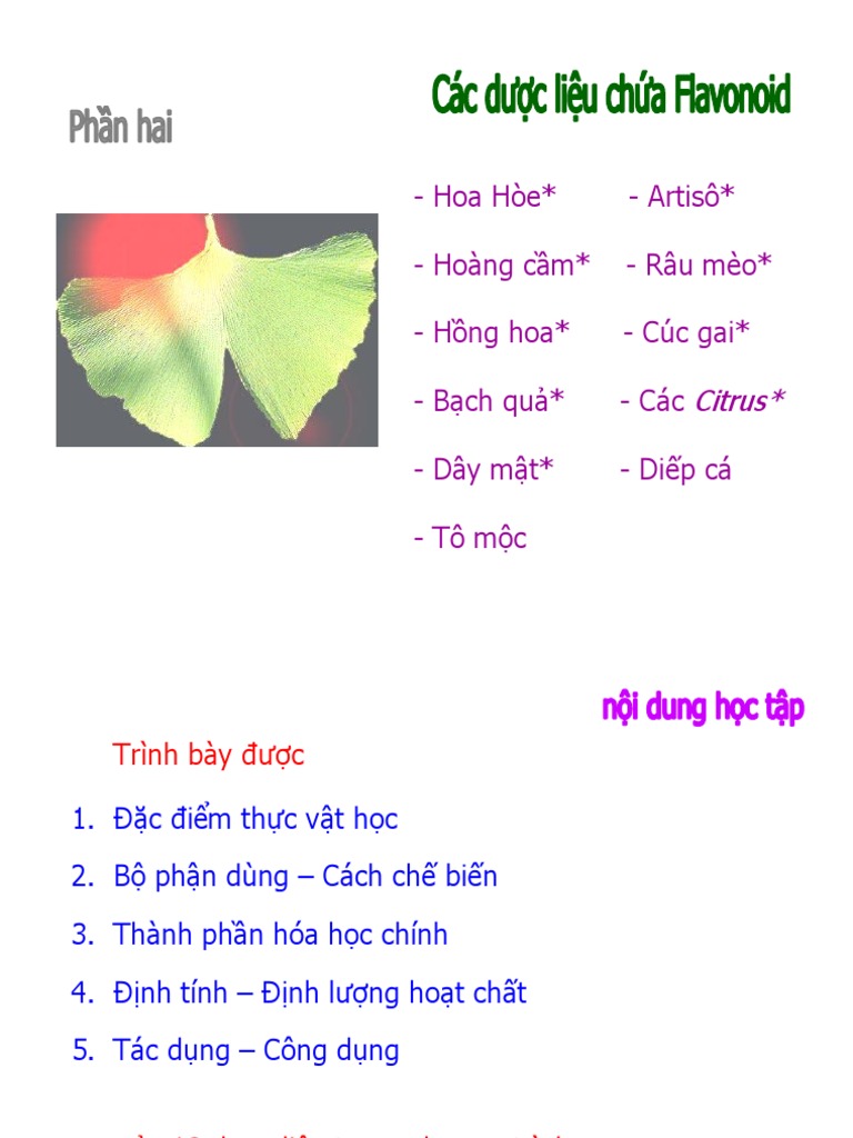 CHƯƠNG 8 - FLAVONOID - DƯỢC LIỆU CHỨA FLAVONOID | PDF