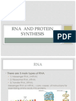 RNA and Protein Synthesis