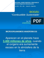 Biogas-Biocombustible-Sustentable (1).pdf