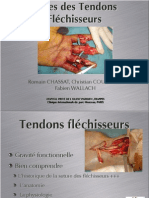 Plaies Des Tendons Fléchisseurs