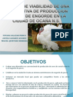 Expoproducciondepavo 120206160405 Phpapp02