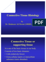 1st Lec of Connective Tissue For 1st Year Mbbs by DR Roomi