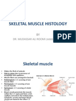 Skeletal Muscle Histology by DR Roomi