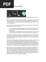 Download Plant Tissue Culture by dushyantrocky SN20164772 doc pdf