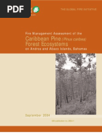 Fire Management Assessment of Caribbean Pine Ecosystems, Bahamas