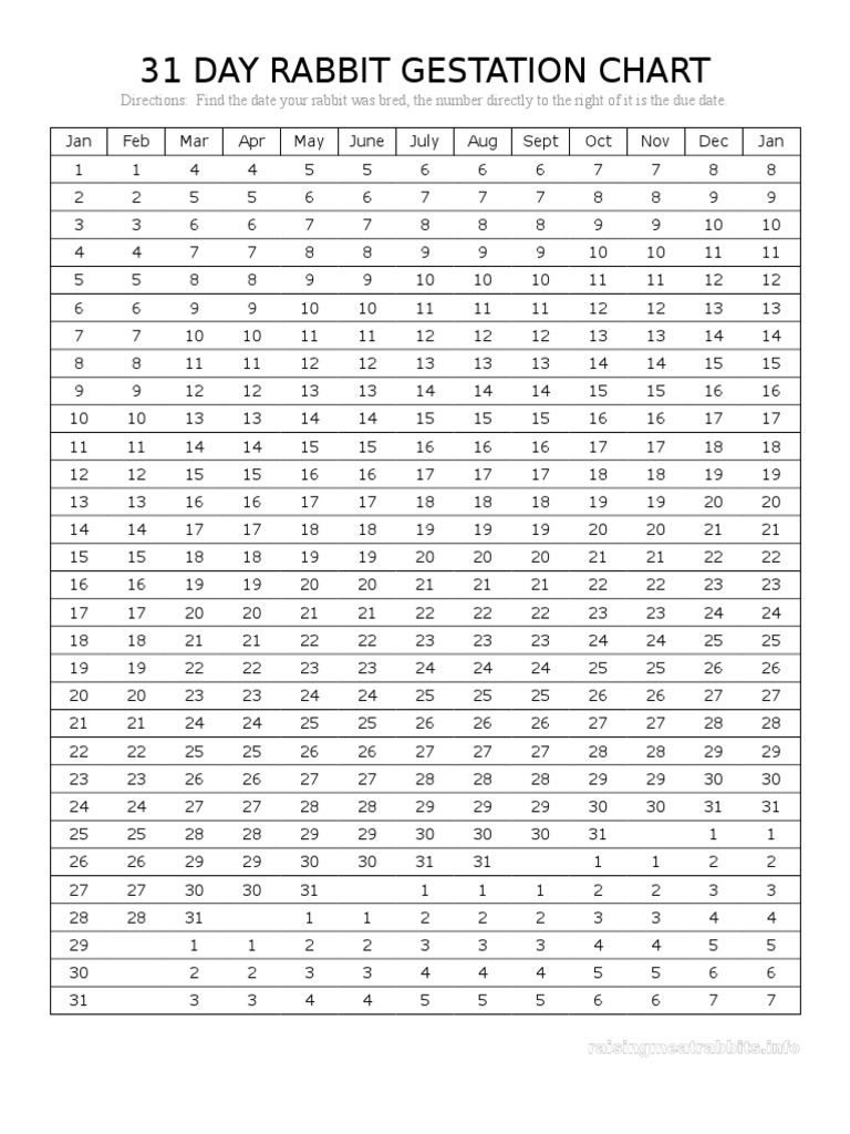 Rabbit Gestation Period Chart | PDF
