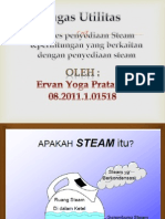 Steam Ervan