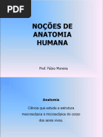 7 Noções de Anatomia, Movimentos