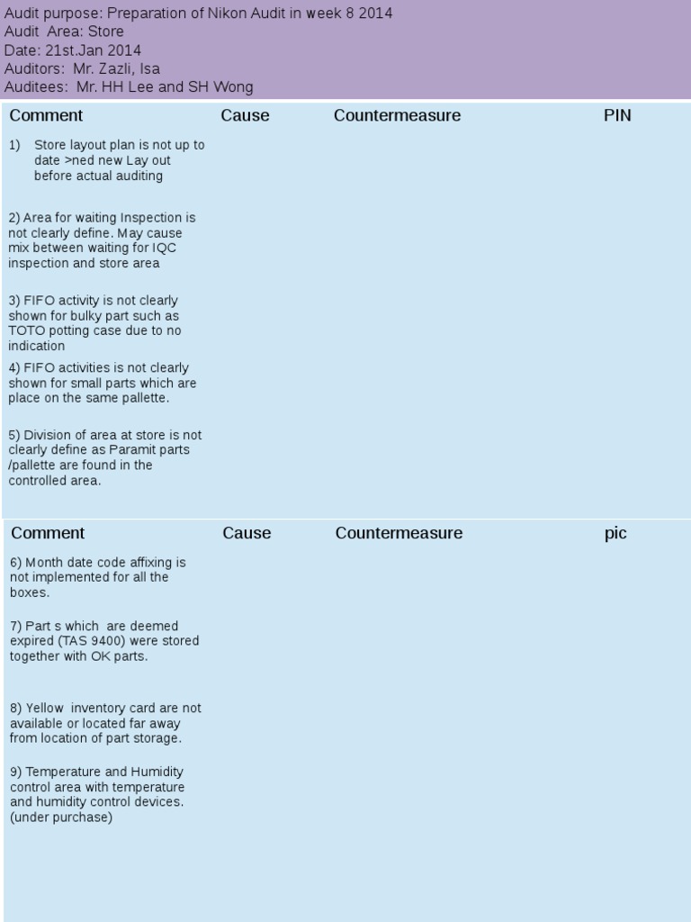 Store Audit Issues and Recommendations | PDF