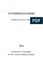 Enterpreneurship: Setting Up An Own Venture