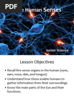 Gravity Lesson Plan for Grade 6 | PDF | Weight | Gravity