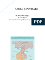 C4. Adenoame Hipofizare