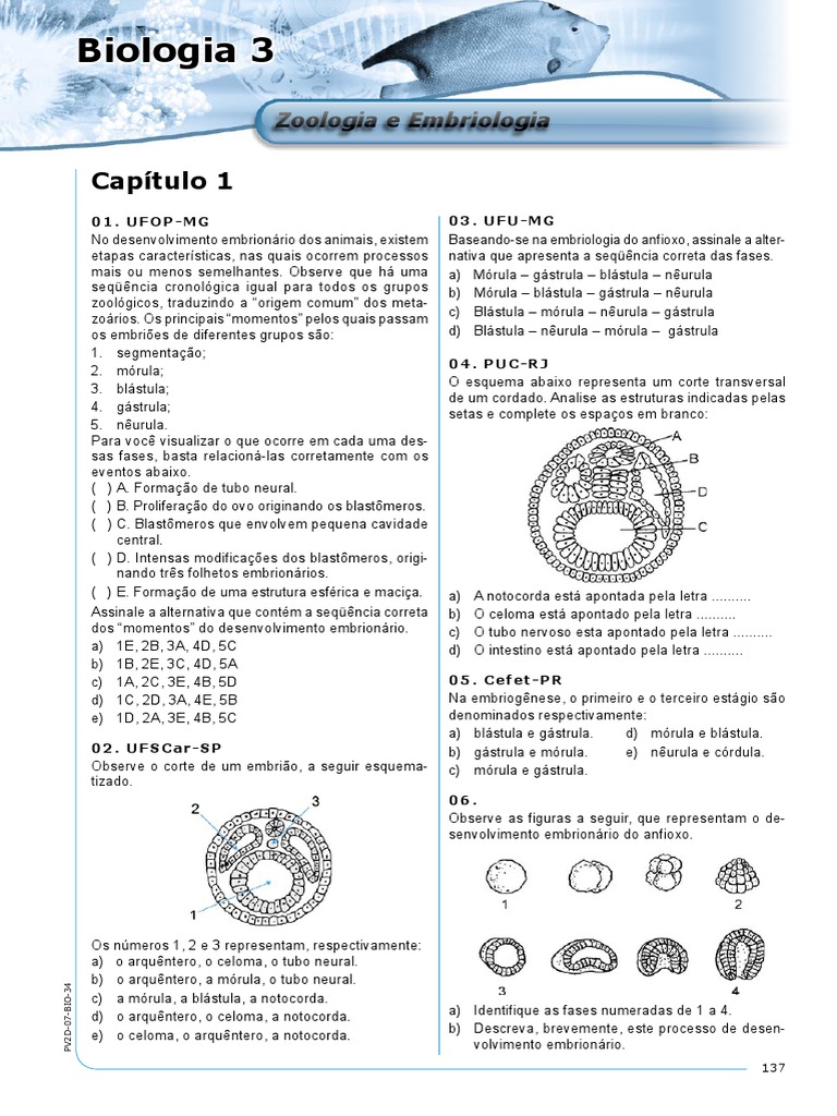 Biologia3 PV2D 07 BIO 34 Zoologia e Embriologia EXERCICIOS | PDF | Gema ...