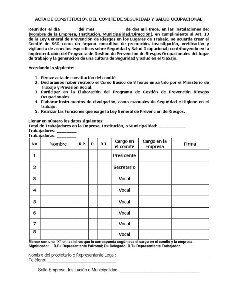Acta de Constitucion Del Comite de Seguridad y Salud Ocupacional | PDF
