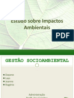 Estudo de Impacto Ambiental (1)