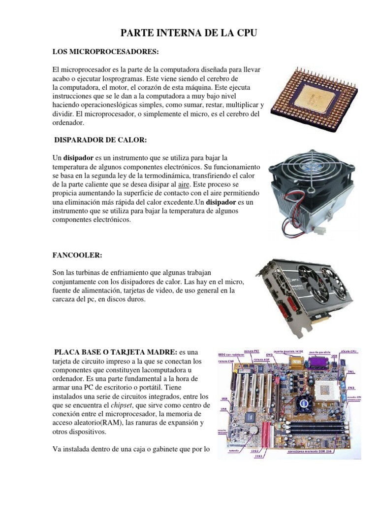 Parte Interna de La Cpu | PDF | Disco flexible | Microprocesador