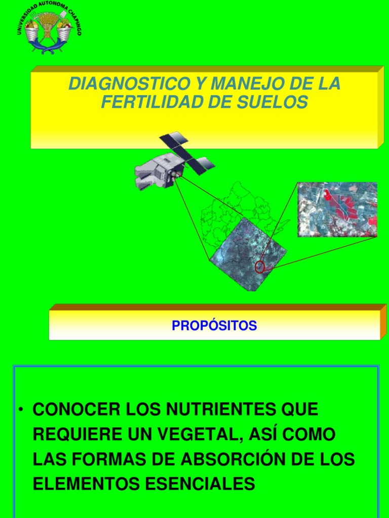 Manejo y Diagnóstico de Fertilidad del Suelo | PDF | Nutrición Vegetal ...