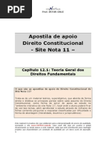 Apostila de Apoio-cap 12 1-Teoria Geral Dos Direitos Fundamentais