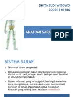 Tugas Anatomi