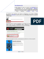 Tutorial sobre PictoSelector.pdf
