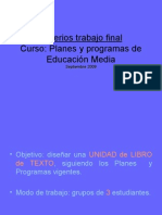 Pauta Trabajo Final