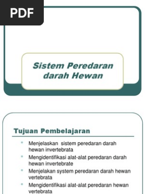 Sistem Peredaran Darah Hewan