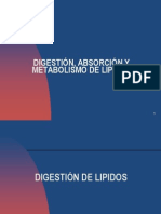 Metabolismos de Lipidos