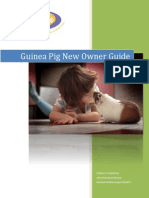 Guinea Pig New Owner Care Guide