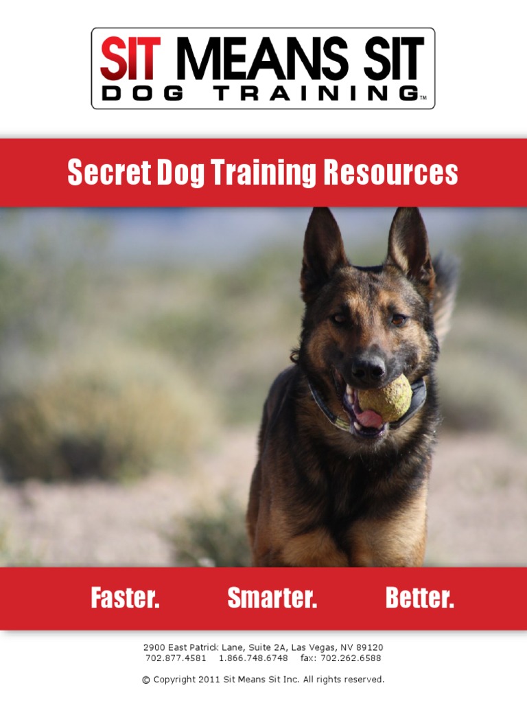 Sit Means Sit Resources Dog Training Obedience Training