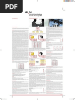 Demonstracoes-Contabeis-2005