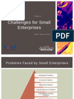 Challenges For Small Enterprises: Chapter-9