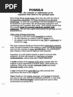 Download Are the Remains or Indications of an Organism That Lived by anscprograms SN20188787 doc pdf