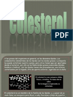 Colesterol Fisio