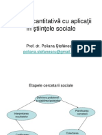 Analiza Cantitativa Brief Poliana Stefanescu[1]