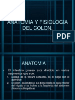 Anatomia Y Fisiologia Del Colon