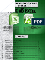 MS Excel Functions and Formatting