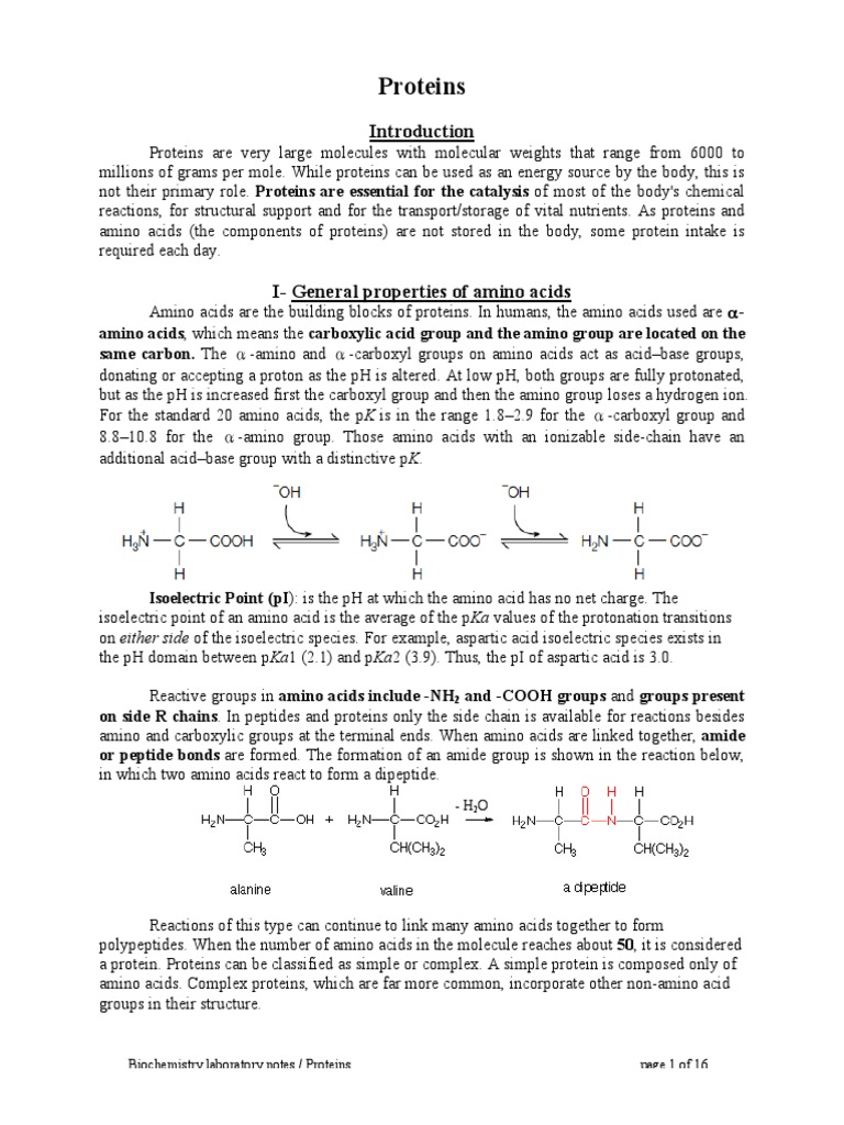 Protein | PDF | Amino Acid | Gelatin