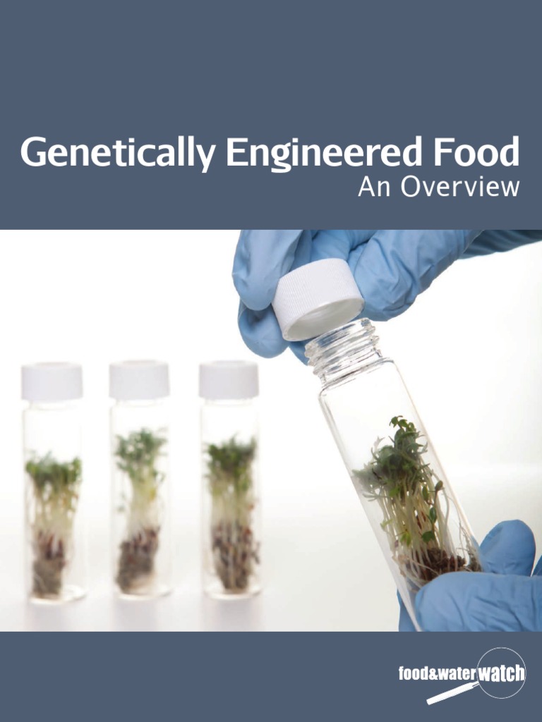 Genetically Engineered Food: An Overview | PDF | Genetically Modified ...