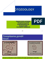 Opportunistic Protozoa