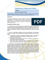 1300-1 Programa de Aseguramiento y Mejora de La Calidad