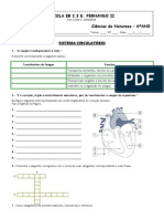 Sistemacirculatorio3 (1)